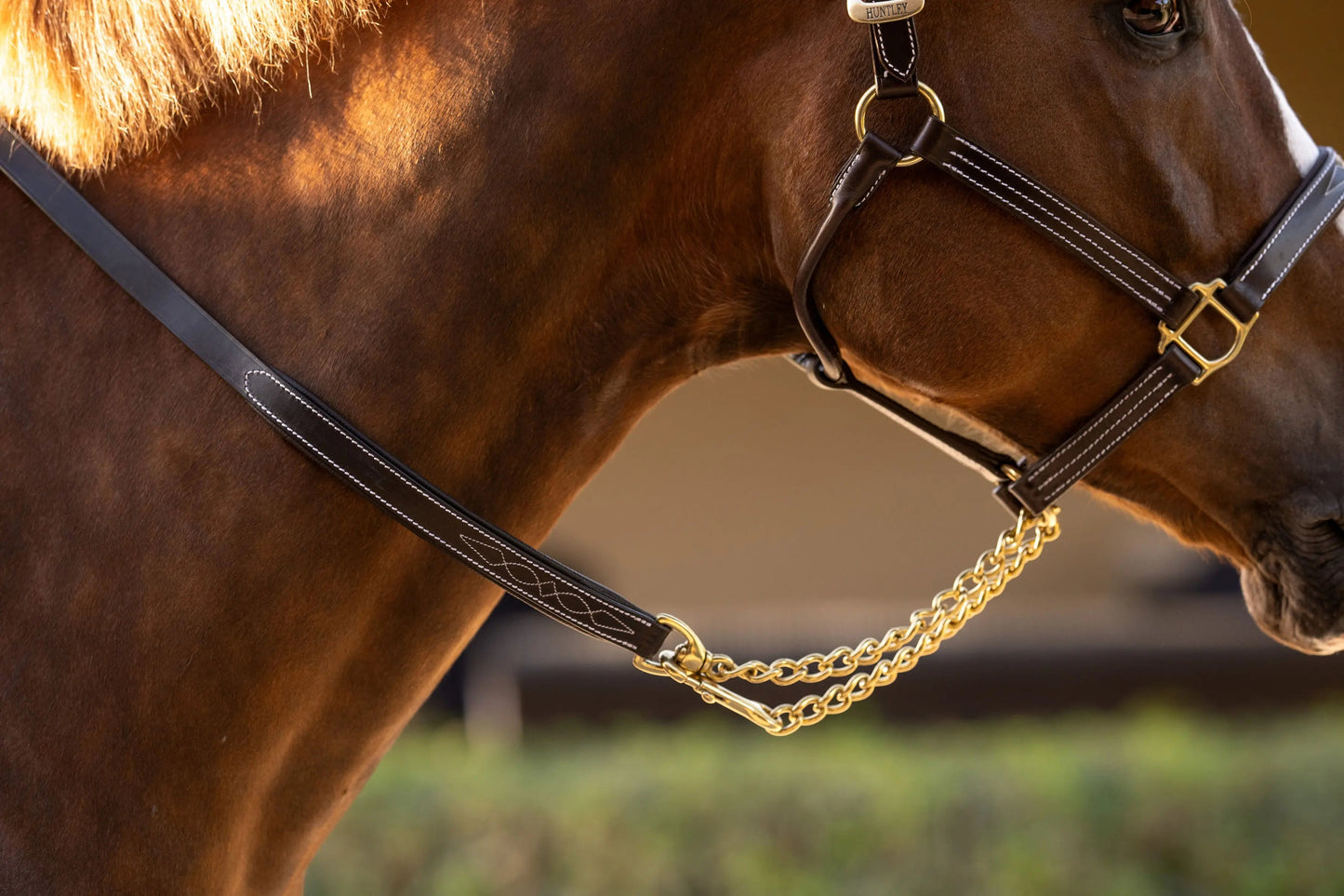 Huntley Equestrian Leather Lead with Brass Chain - Tampa Home & Garden Store