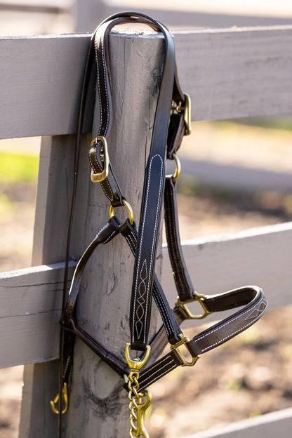 Huntley Equestrian Leather Lead with Brass Chain - Tampa Home & Garden Store