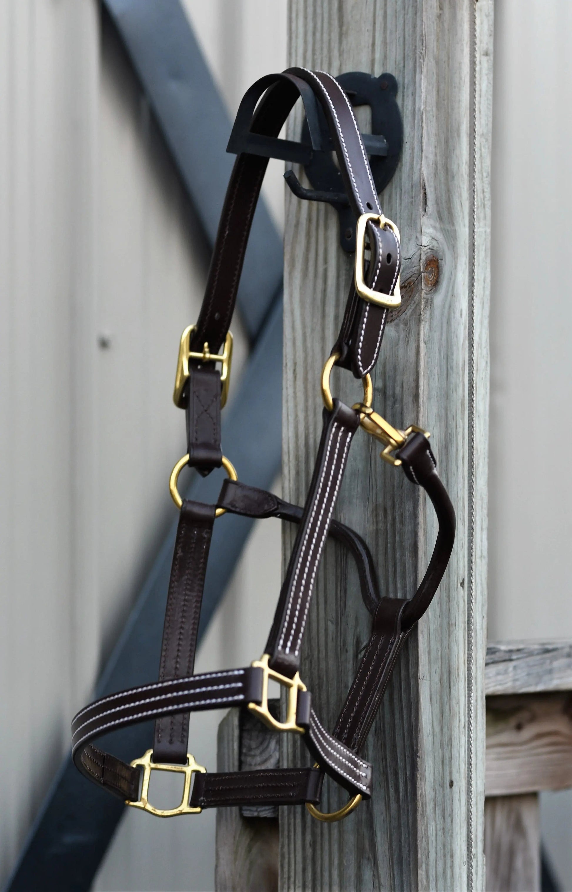 Huntley Equestrian Premium Leather Triple Stitched Halter with Snap - Tampa Home & Garden Store