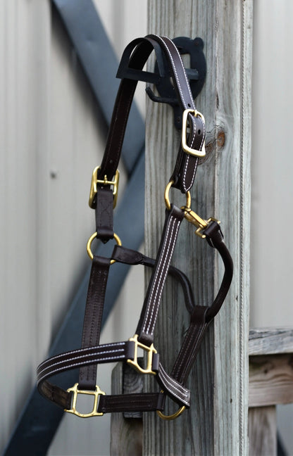 Huntley Equestrian Premium Leather Triple Stitched Halter with Snap - Tampa Home & Garden Store