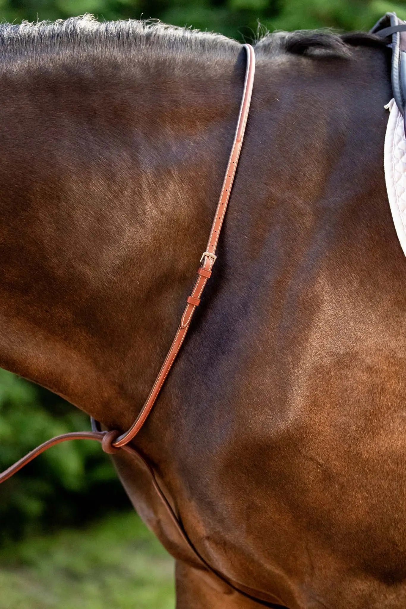 Huntley Equestrian Schooling Standing Martingale, Italian Leather - Tampa Home & Garden Store