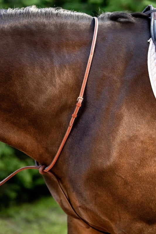 Huntley Equestrian Schooling Standing Martingale, Italian Leather - Tampa Home & Garden Store