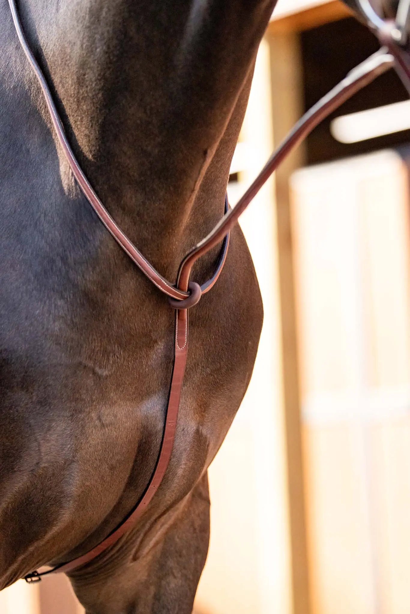 Huntley Equestrian Schooling Standing Martingale, Italian Leather - Tampa Home & Garden Store