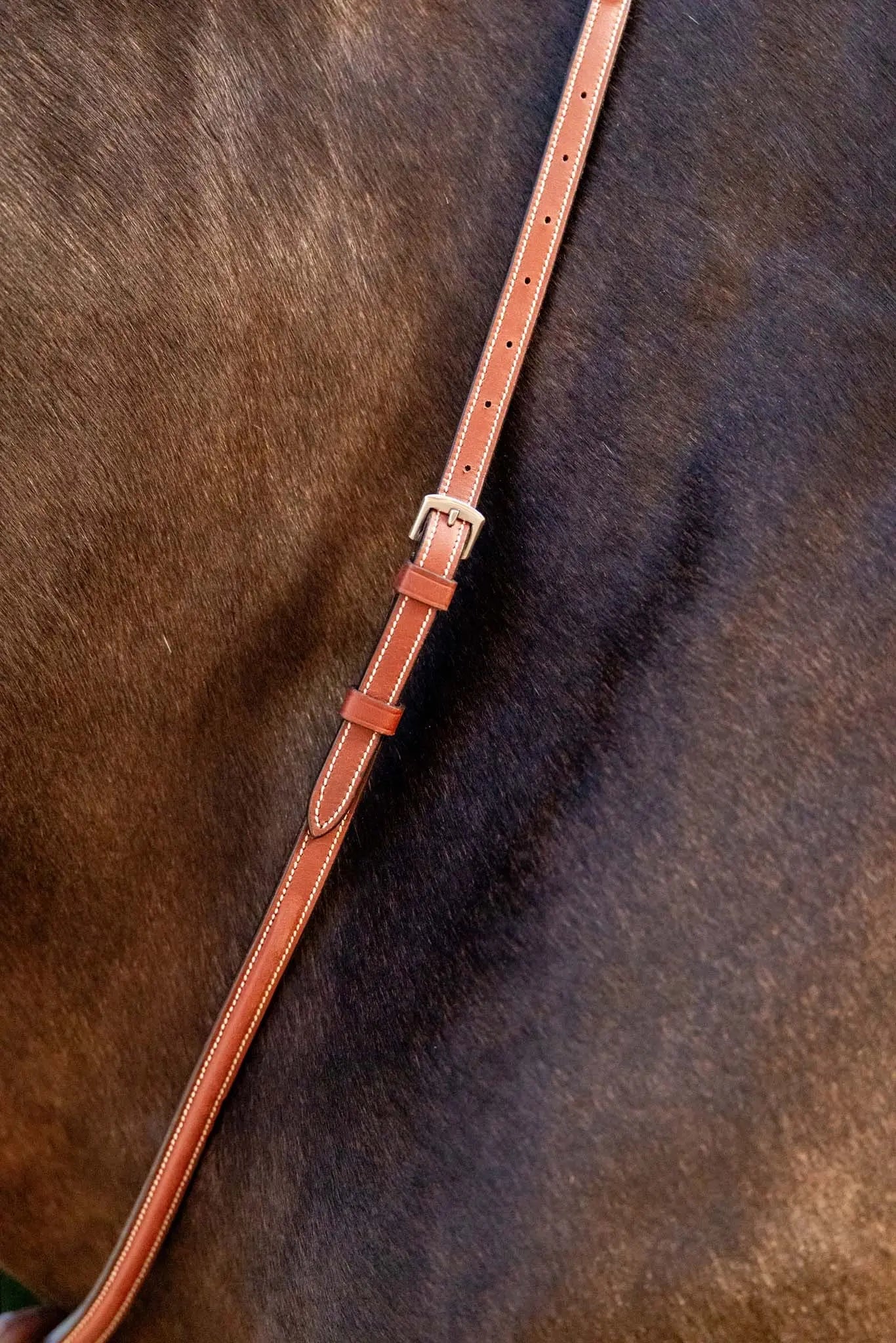 Huntley Equestrian Schooling Standing Martingale, Italian Leather - Tampa Home & Garden Store