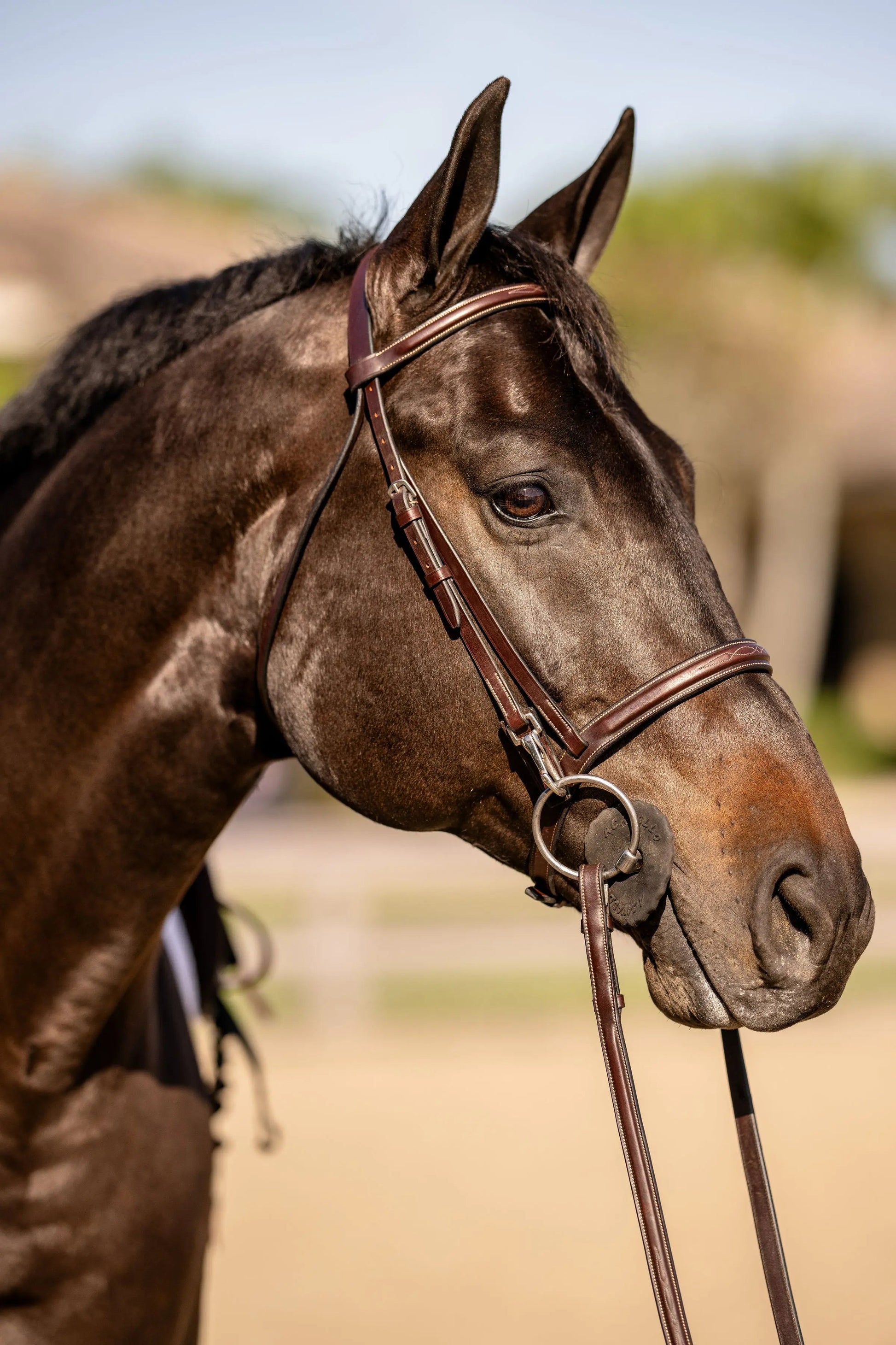 Huntley Equestrian Sedgwick Fancy Stitched Bridle with Cheek Clips and Reins - Tampa Home & Garden Store