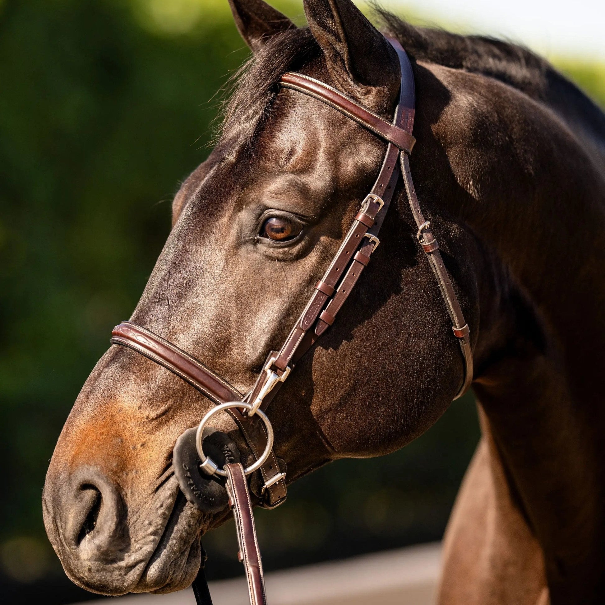 Huntley Equestrian Sedgwick Fancy Stitched Bridle with Cheek Clips and Reins - Tampa Home & Garden Store