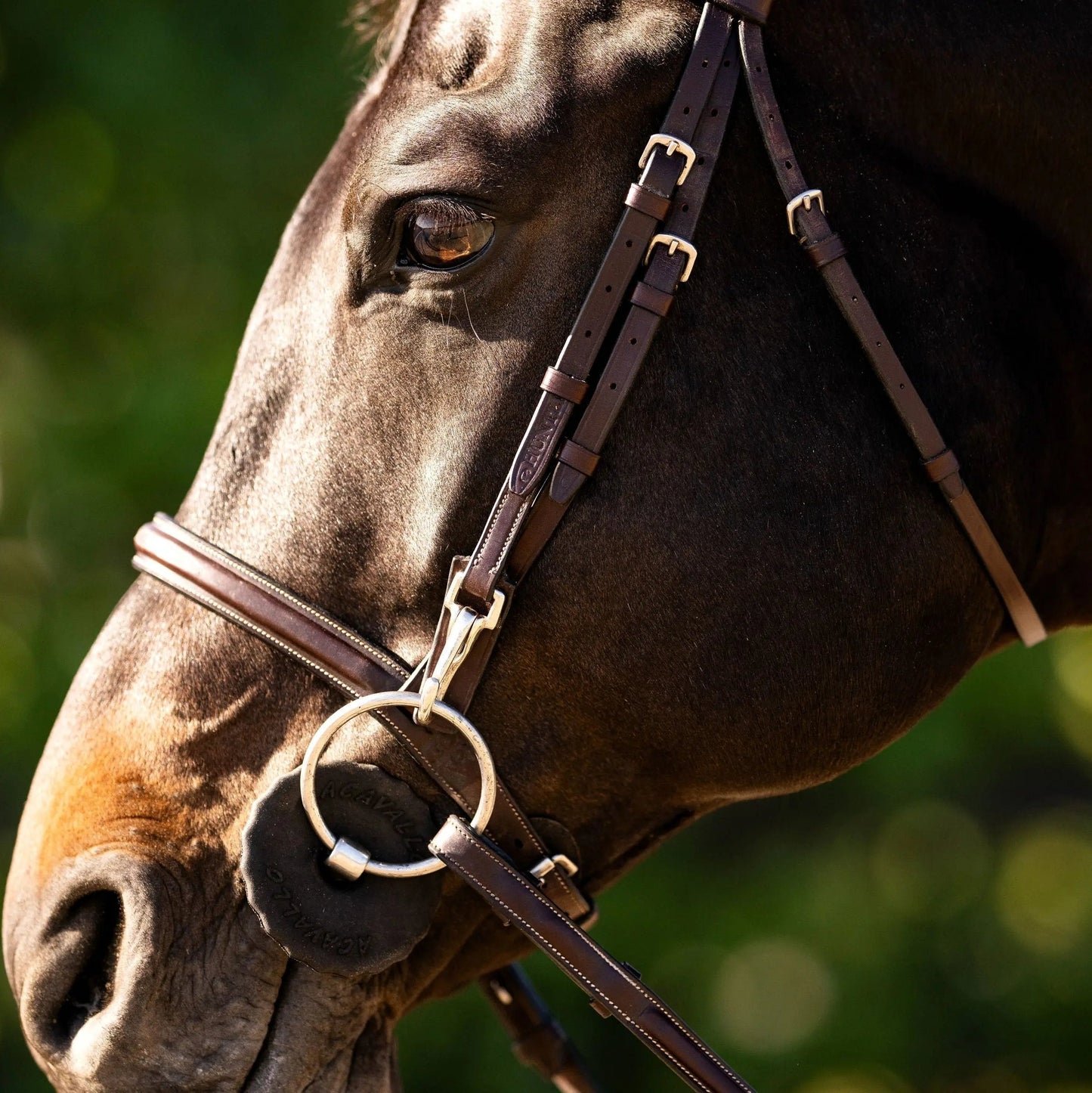 Huntley Equestrian Sedgwick Fancy Stitched Bridle with Cheek Clips and Reins - Tampa Home & Garden Store