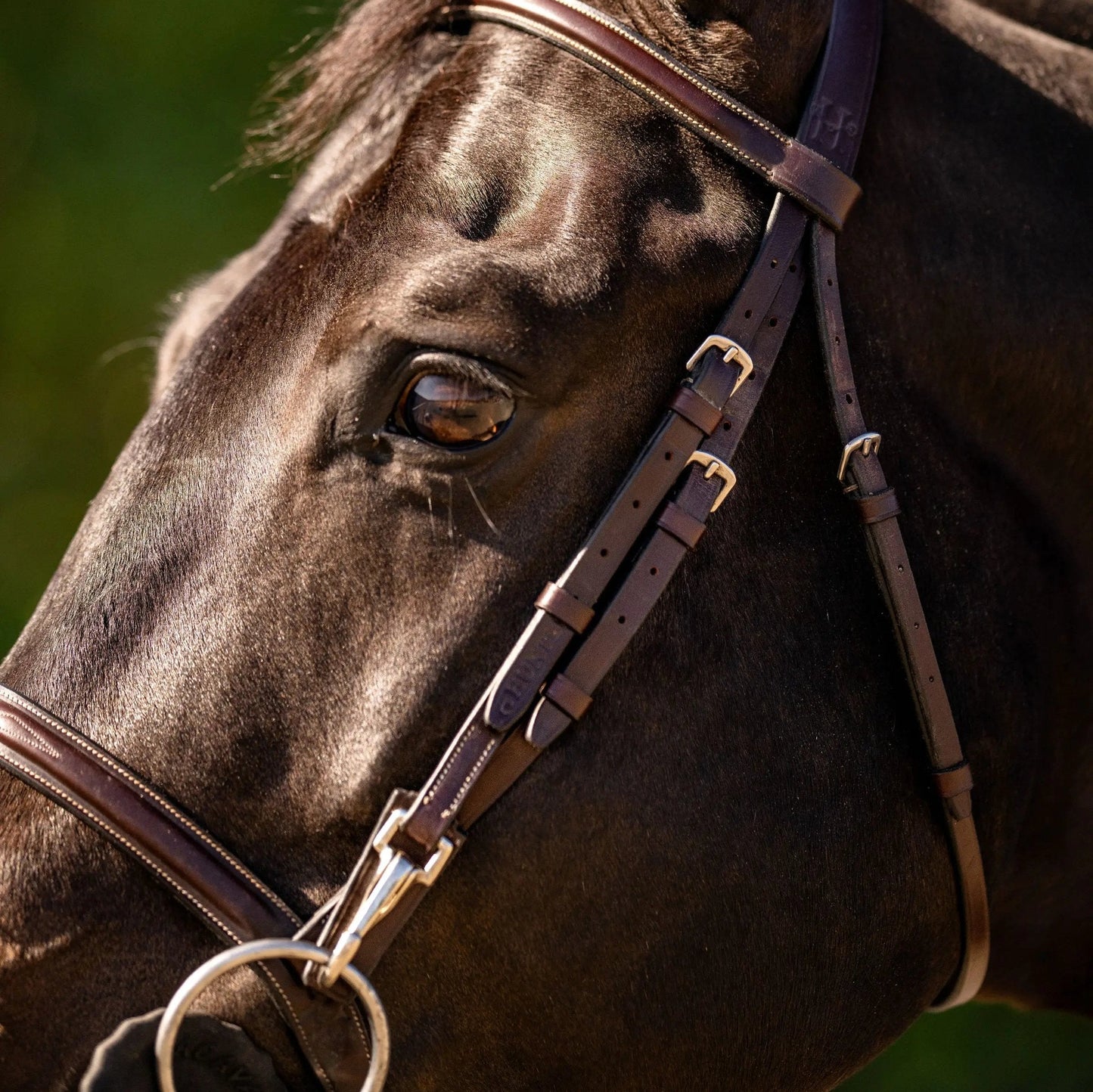Huntley Equestrian Sedgwick Fancy Stitched Bridle with Cheek Clips and Reins - Tampa Home & Garden Store