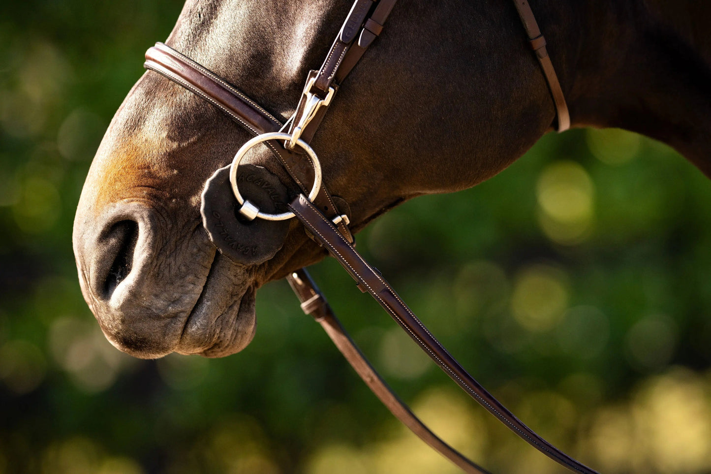 Huntley Equestrian Sedgwick Fancy Stitched Bridle with Cheek Clips and Reins - Tampa Home & Garden Store