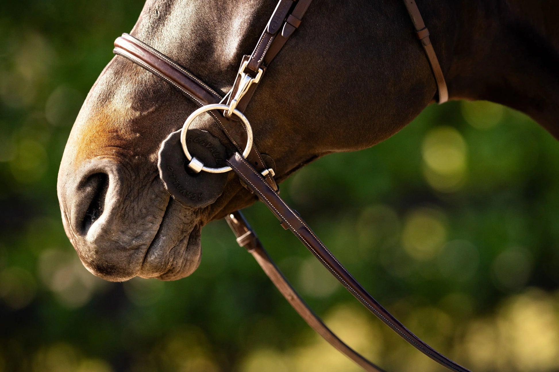 Huntley Equestrian Sedgwick Fancy Stitched Bridle with Cheek Clips and Reins - Tampa Home & Garden Store