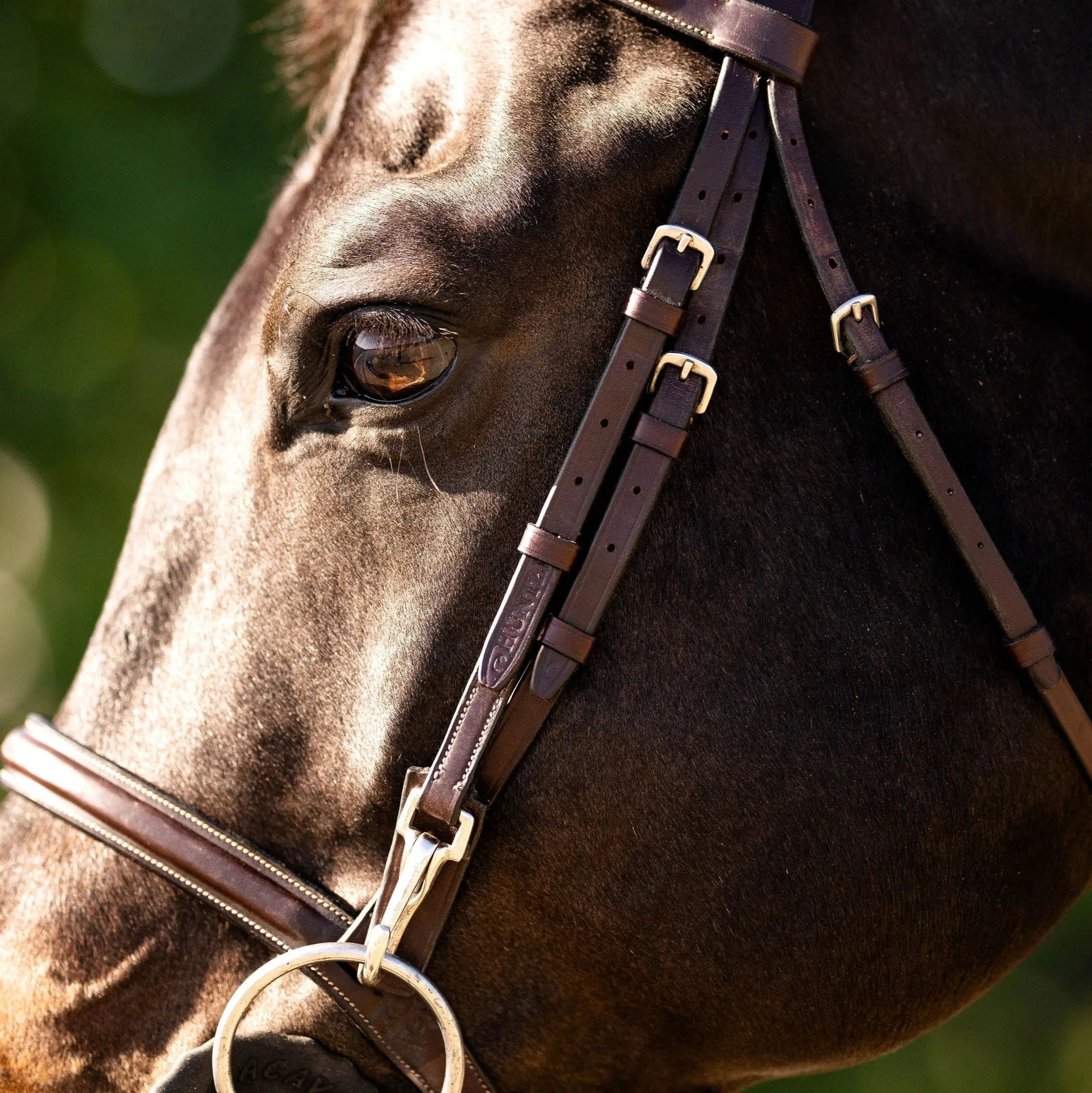 Huntley Equestrian Sedgwick Fancy Stitched Bridle with Cheek Clips and Reins - Tampa Home & Garden Store