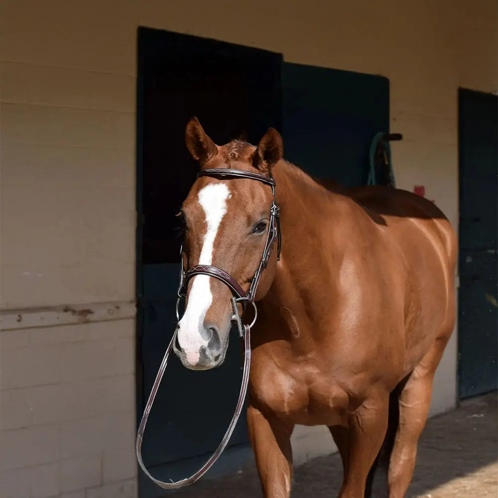 Huntley Equestrian Sedgwick Fancy Stitched Square Raised Hunter Horse Bridle with Reins - Tampa Home & Garden Store
