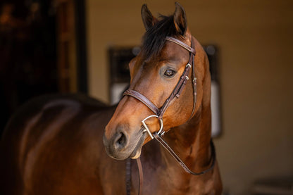 Huntley Equestrian Sedgwick Fancy Stitched Square Raised Hunter Horse Bridle with Reins - Tampa Home & Garden Store