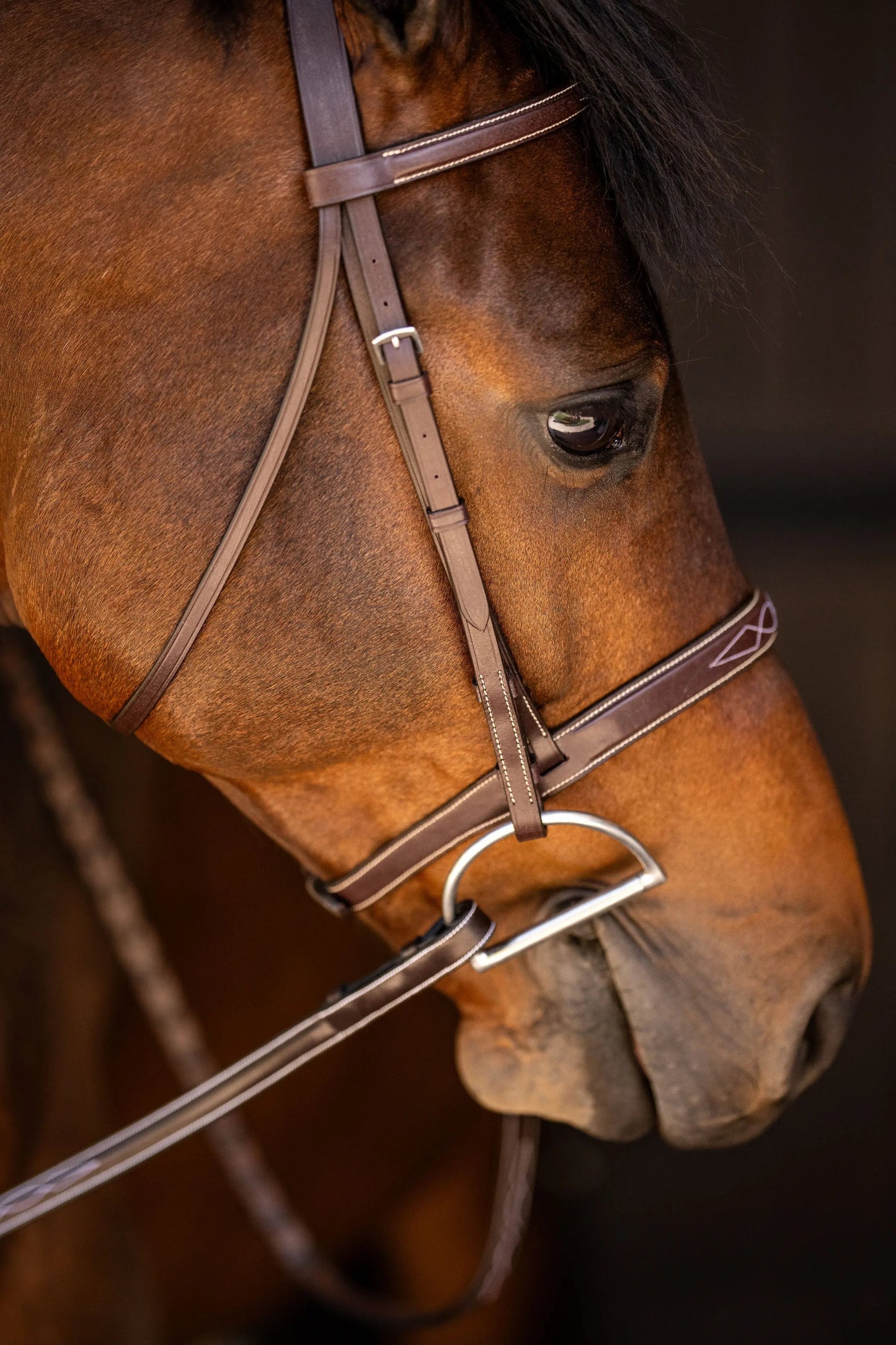 Huntley Equestrian Sedgwick Fancy Stitched Square Raised Hunter Horse Bridle with Reins - Tampa Home & Garden Store