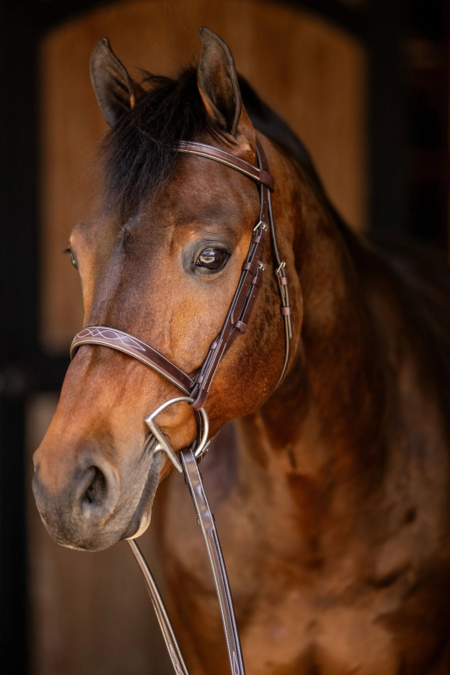 Huntley Equestrian Sedgwick Fancy Stitched Square Raised Hunter Horse Bridle with Reins - Tampa Home & Garden Store