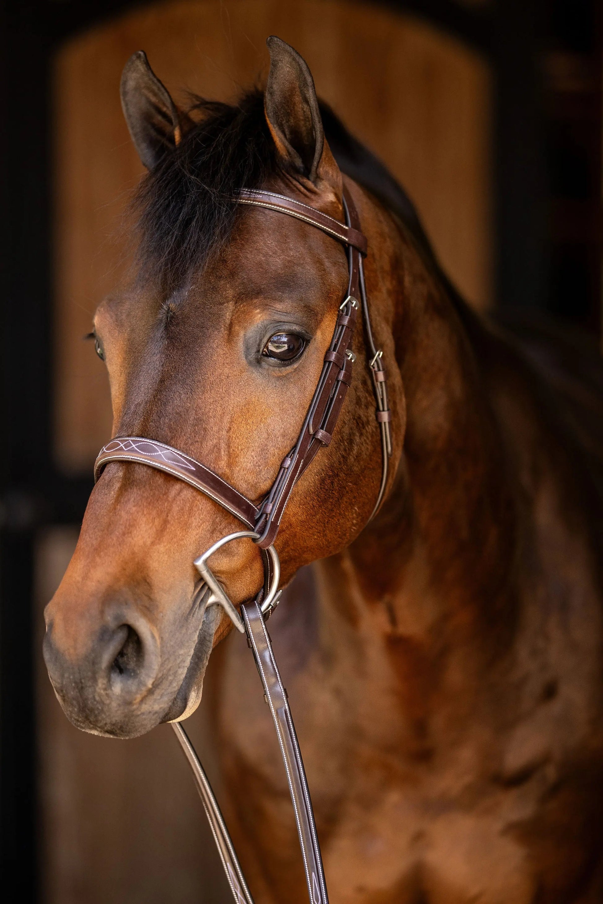 Huntley Equestrian Sedgwick Fancy Stitched Square Raised Hunter Horse Bridle with Reins - Tampa Home & Garden Store