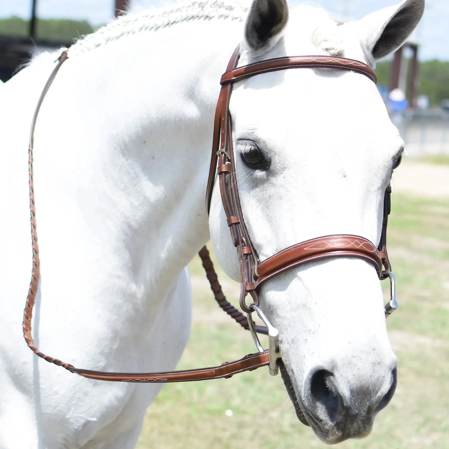 Huntley Equestrian Sedgwick Fancy Stitched Square Raised Hunter Horse Bridle with Reins - Tampa Home & Garden Store