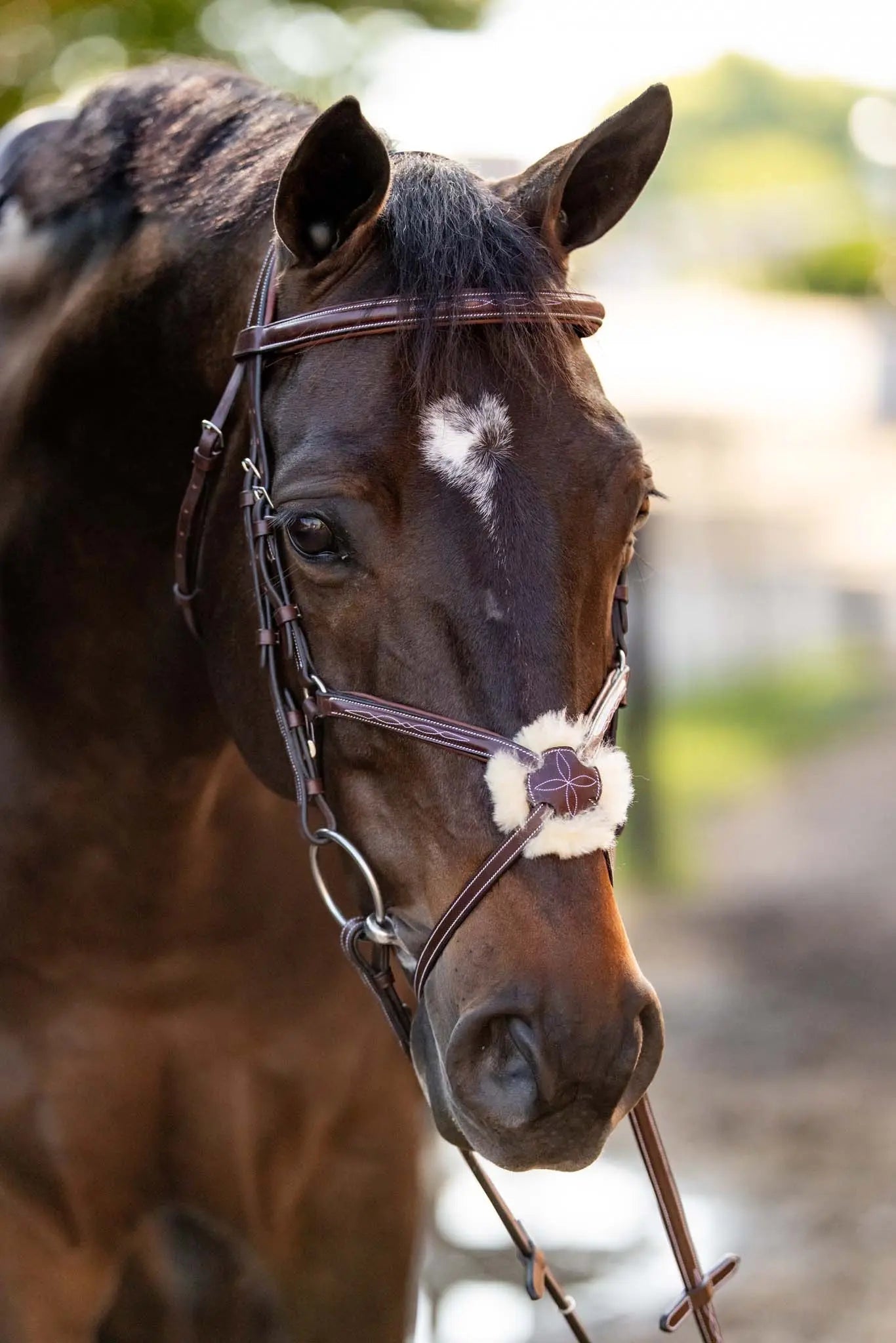 Huntley Equestrian Sedgwick Leather Padded Monocrown Figure 8 Bridle - Tampa Home & Garden Store