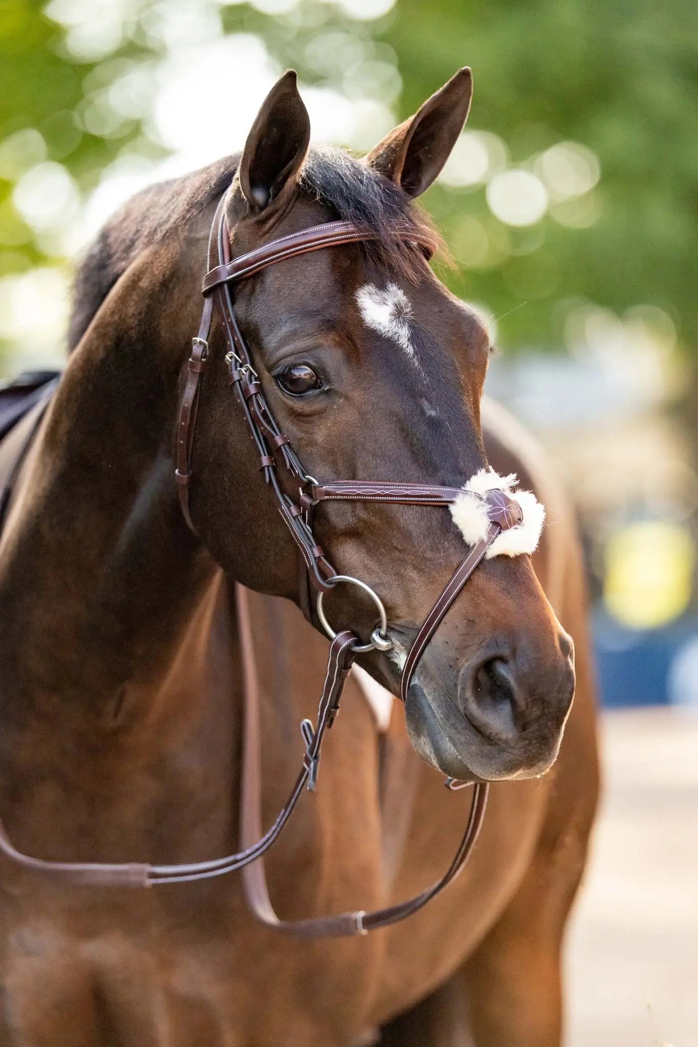 Huntley Equestrian Sedgwick Leather Padded Monocrown Figure 8 Bridle - Tampa Home & Garden Store