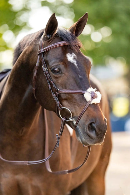Huntley Equestrian Sedgwick Leather Padded Monocrown Figure 8 Bridle - Tampa Home & Garden Store