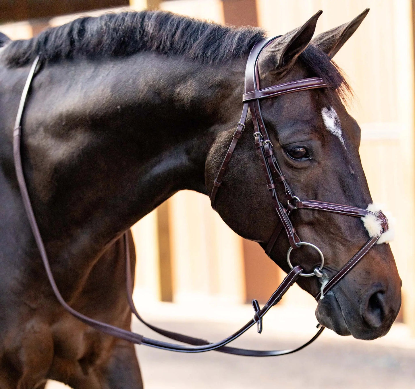 Huntley Equestrian Sedgwick Leather Padded Monocrown Figure 8 Bridle - Tampa Home & Garden Store