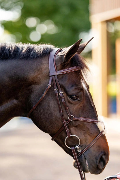 Huntley Equestrian Sedgwick Leather Padded Monocrown Figure 8 Bridle - Tampa Home & Garden Store