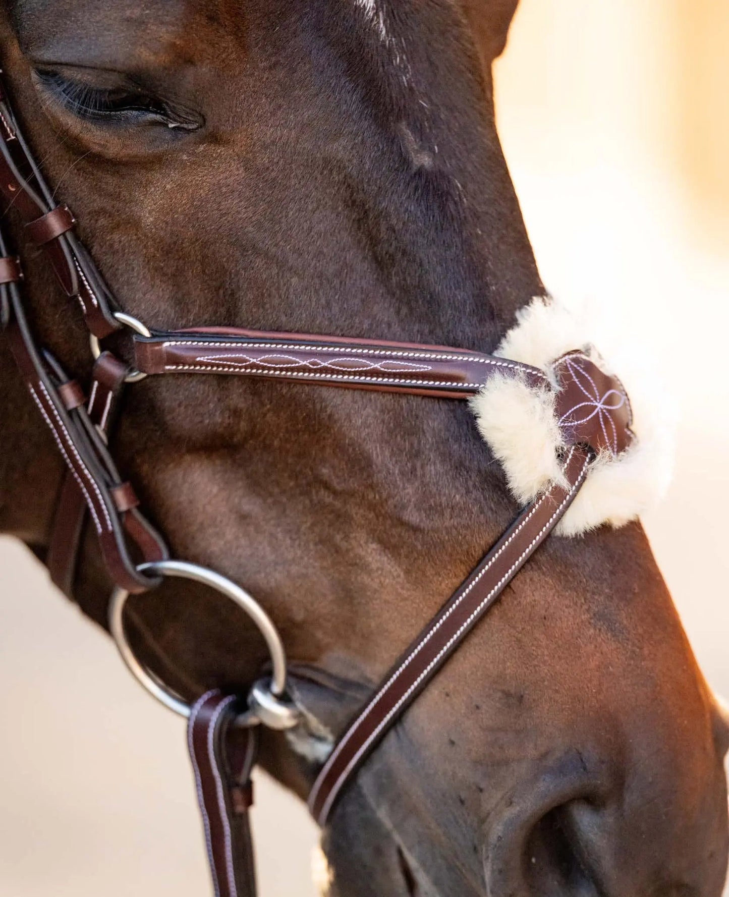 Huntley Equestrian Sedgwick Leather Padded Monocrown Figure 8 Bridle - Tampa Home & Garden Store