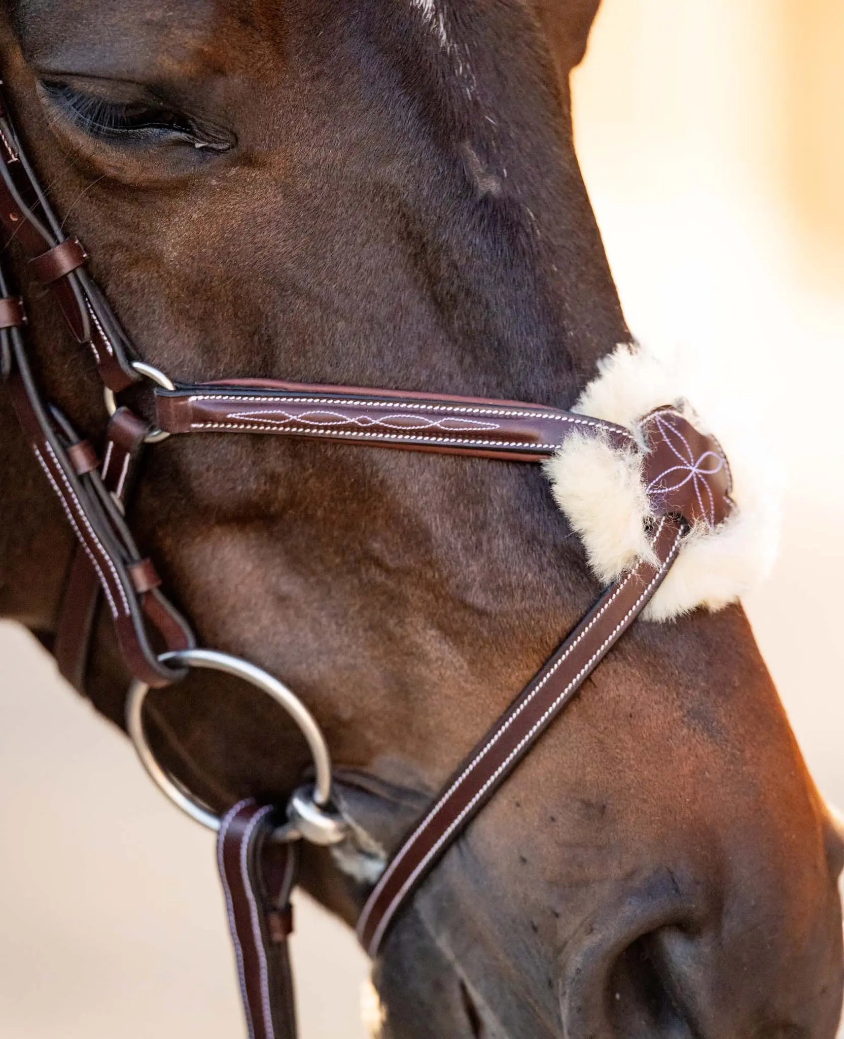 Huntley Equestrian Sedgwick Leather Padded Monocrown Figure 8 Bridle - Tampa Home & Garden Store