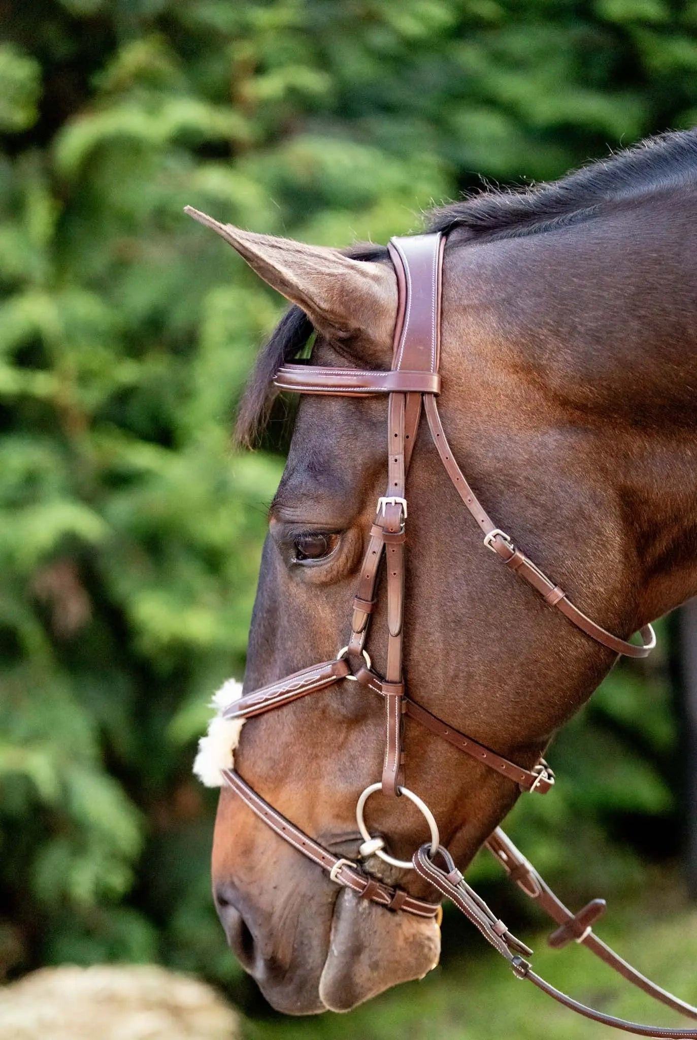 Huntley Equestrian Sedgwick Leather Padded Monocrown Figure 8 Bridle - Tampa Home & Garden Store