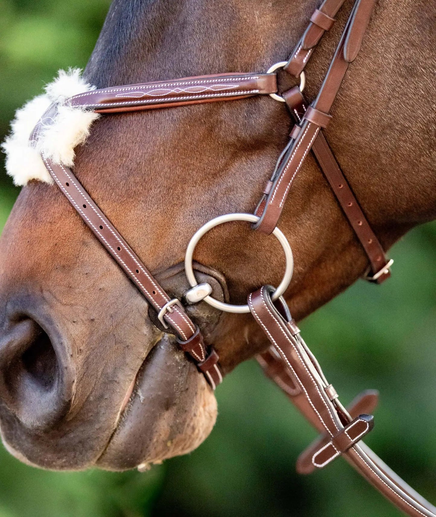 Huntley Equestrian Sedgwick Leather Padded Monocrown Figure 8 Bridle - Tampa Home & Garden Store