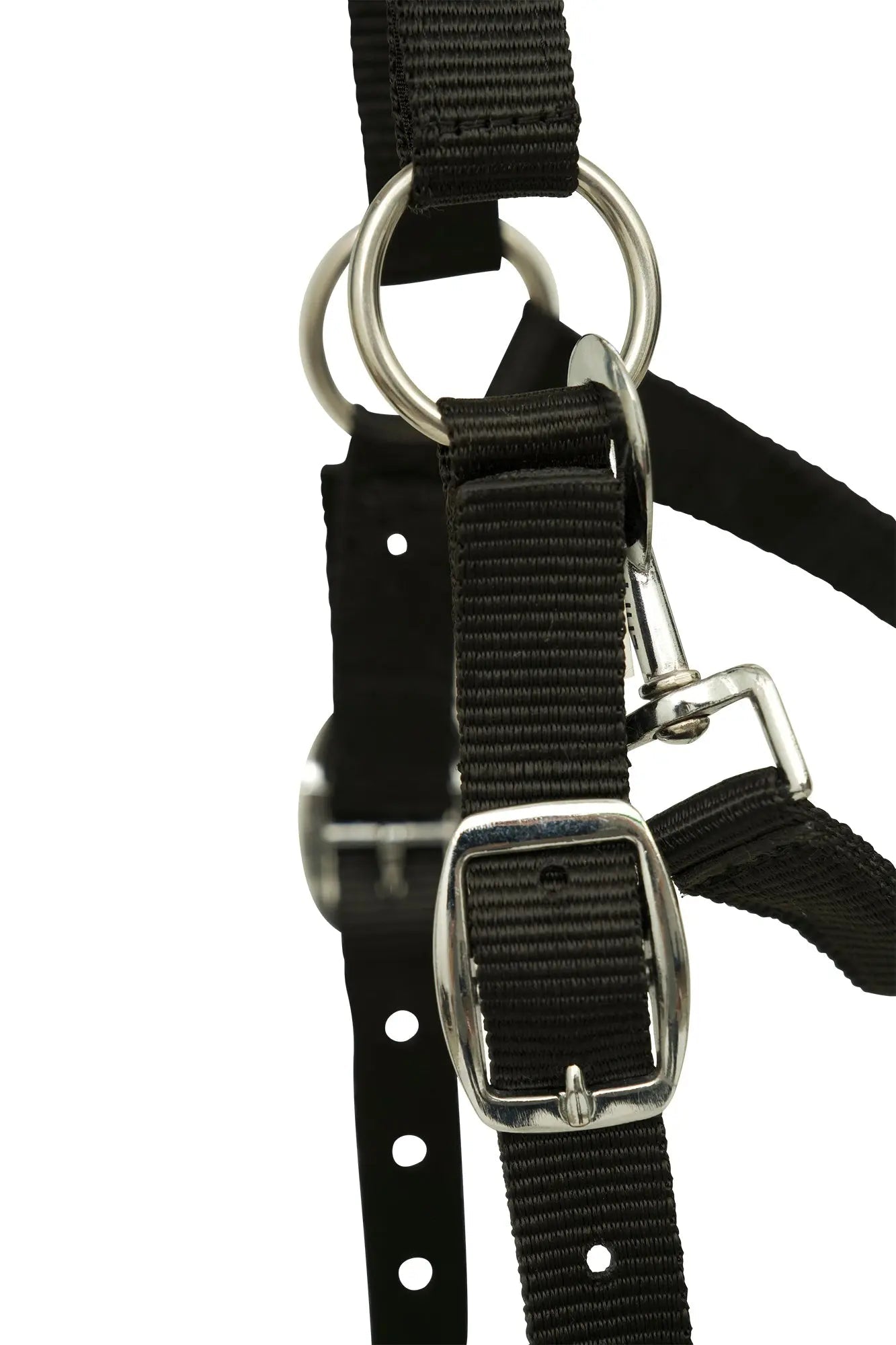 Huntley Fleece Padded Nylon Grazing Muzzle, Black - Tampa Home & Garden Store