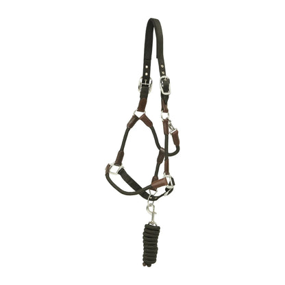 Huntley Nylon Halter and Removable Lead with Snap, Black - Tampa Home & Garden Store