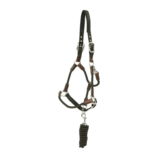 Huntley Nylon Halter and Removable Lead with Snap, Black - Tampa Home & Garden Store