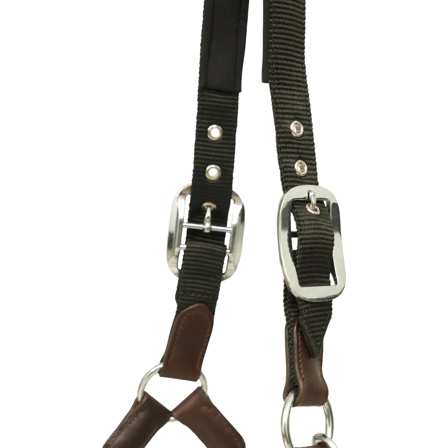 Huntley Nylon Halter and Removable Lead with Snap, Black - Tampa Home & Garden Store