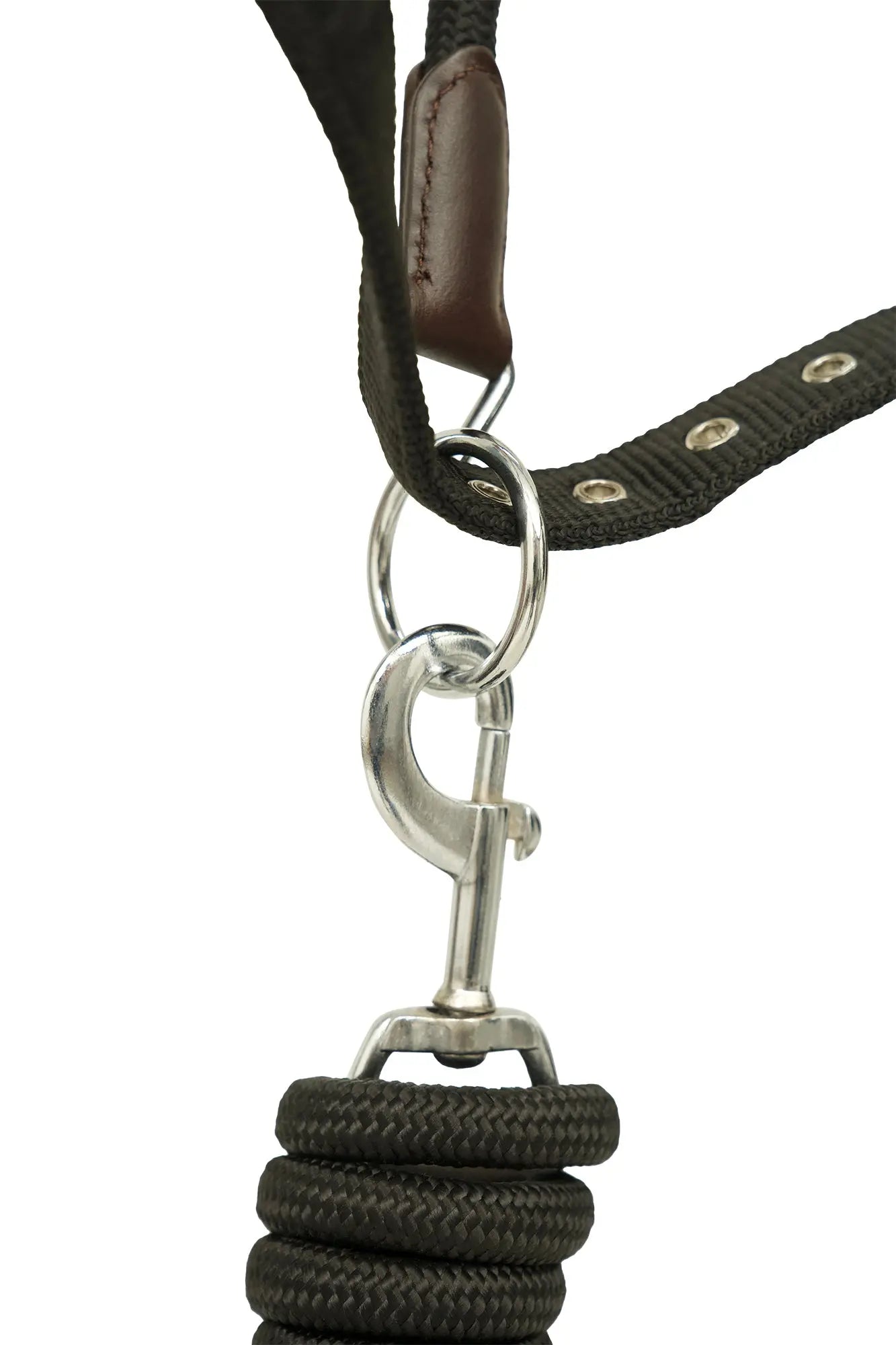 Huntley Nylon Halter and Removable Lead with Snap, Black - Tampa Home & Garden Store