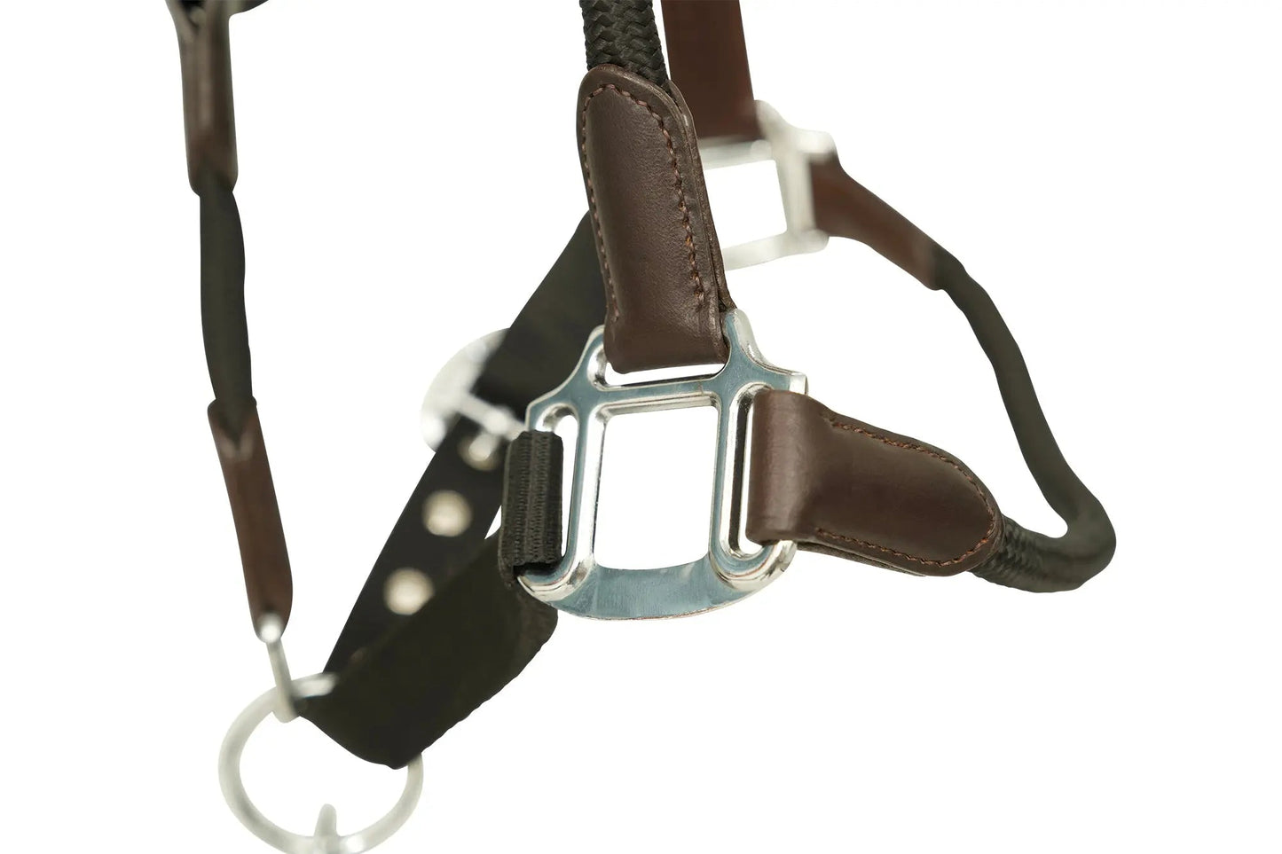 Huntley Nylon Halter and Removable Lead with Snap, Black - Tampa Home & Garden Store
