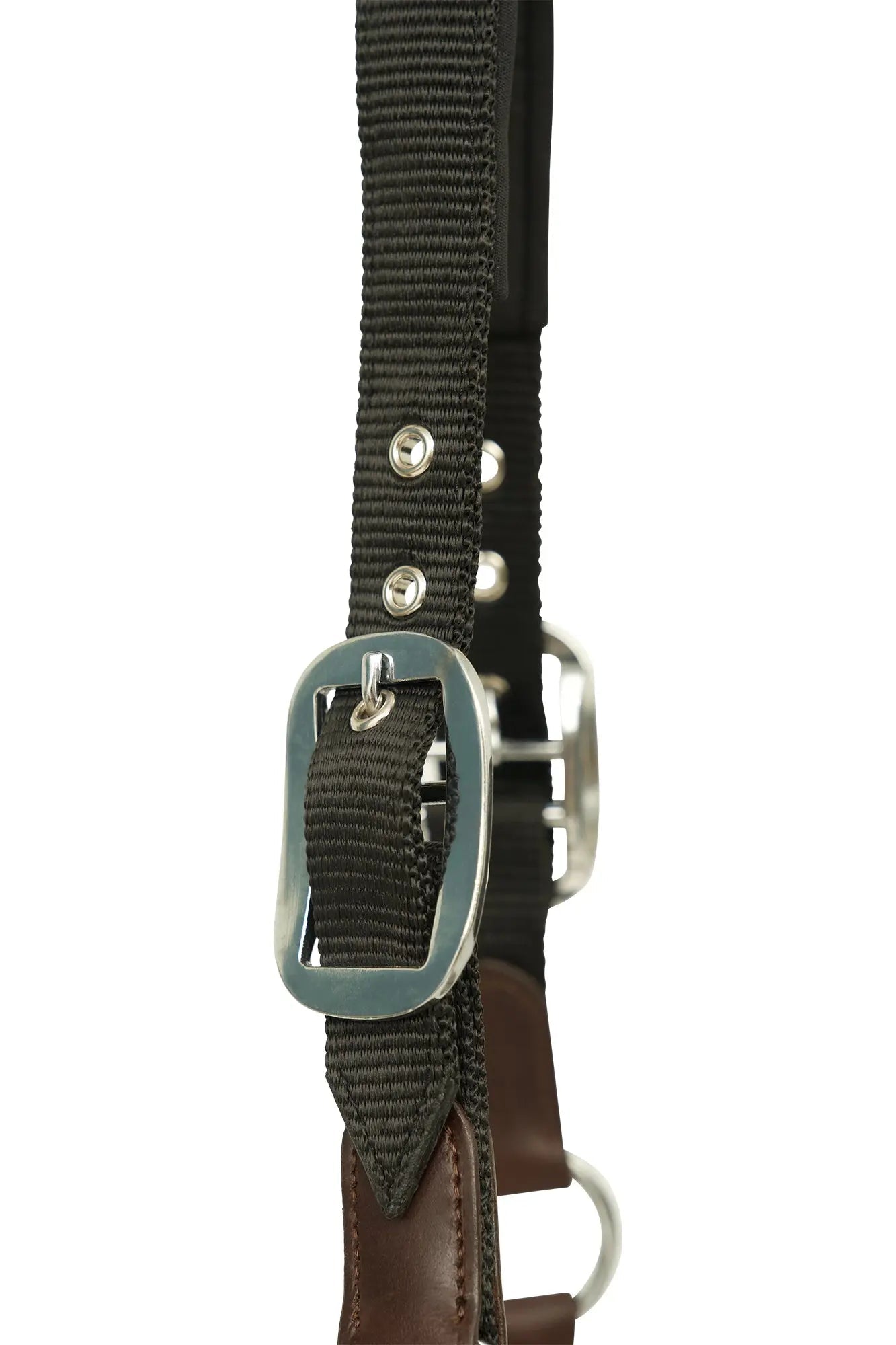 Huntley Nylon Halter and Removable Lead with Snap, Black - Tampa Home & Garden Store