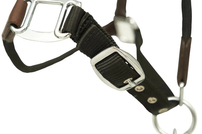 Huntley Nylon Halter and Removable Lead with Snap, Black - Tampa Home & Garden Store