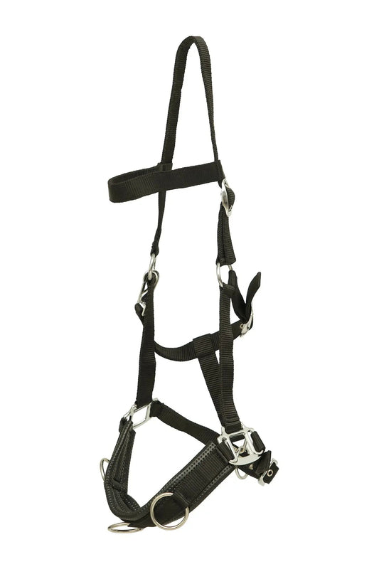 Huntley Nylon Padded Lunging Caveson, Black - Tampa Home & Garden Store