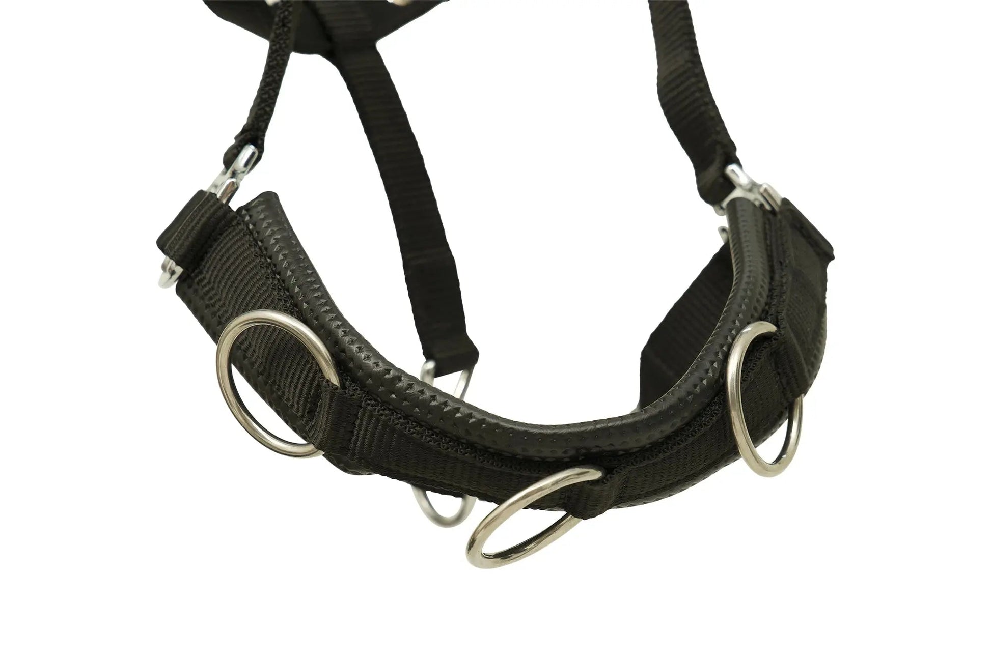 Huntley Nylon Padded Lunging Caveson, Black - Tampa Home & Garden Store