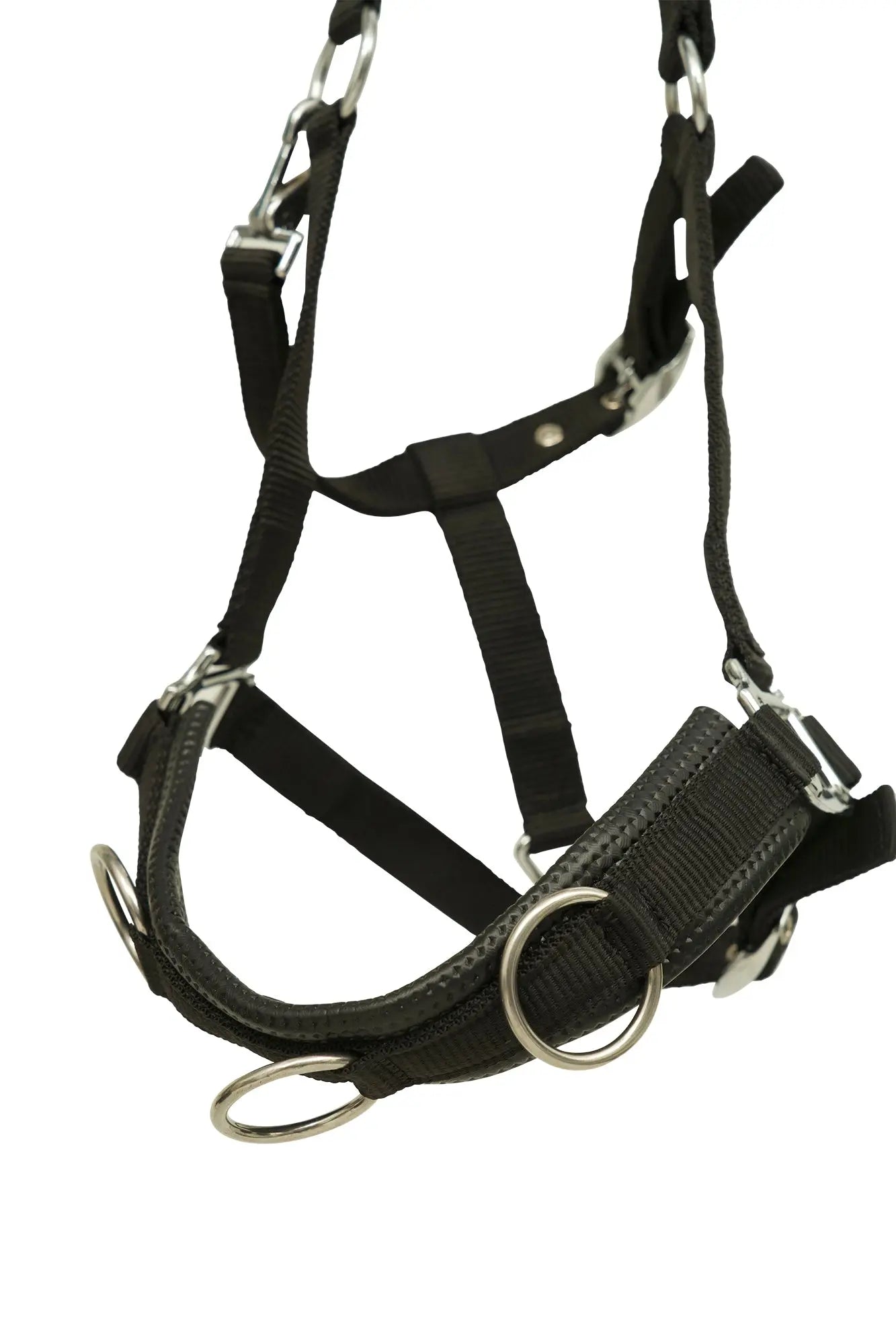Huntley Nylon Padded Lunging Caveson, Black - Tampa Home & Garden Store