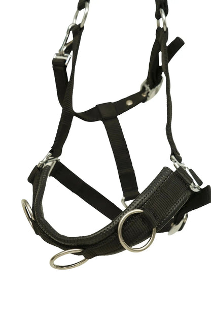 Huntley Nylon Padded Lunging Caveson, Black - Tampa Home & Garden Store