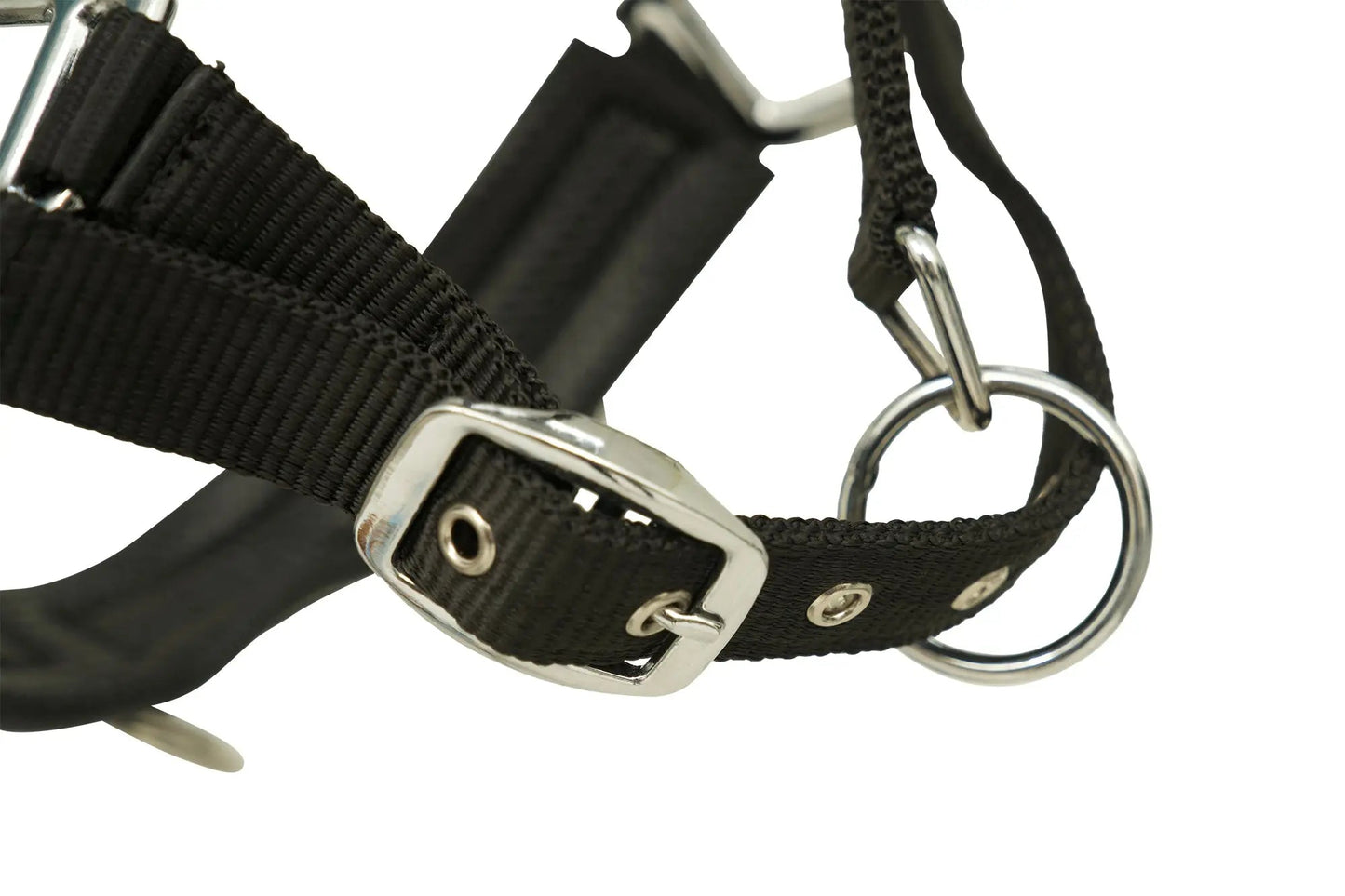 Huntley Nylon Padded Lunging Caveson, Black - Tampa Home & Garden Store