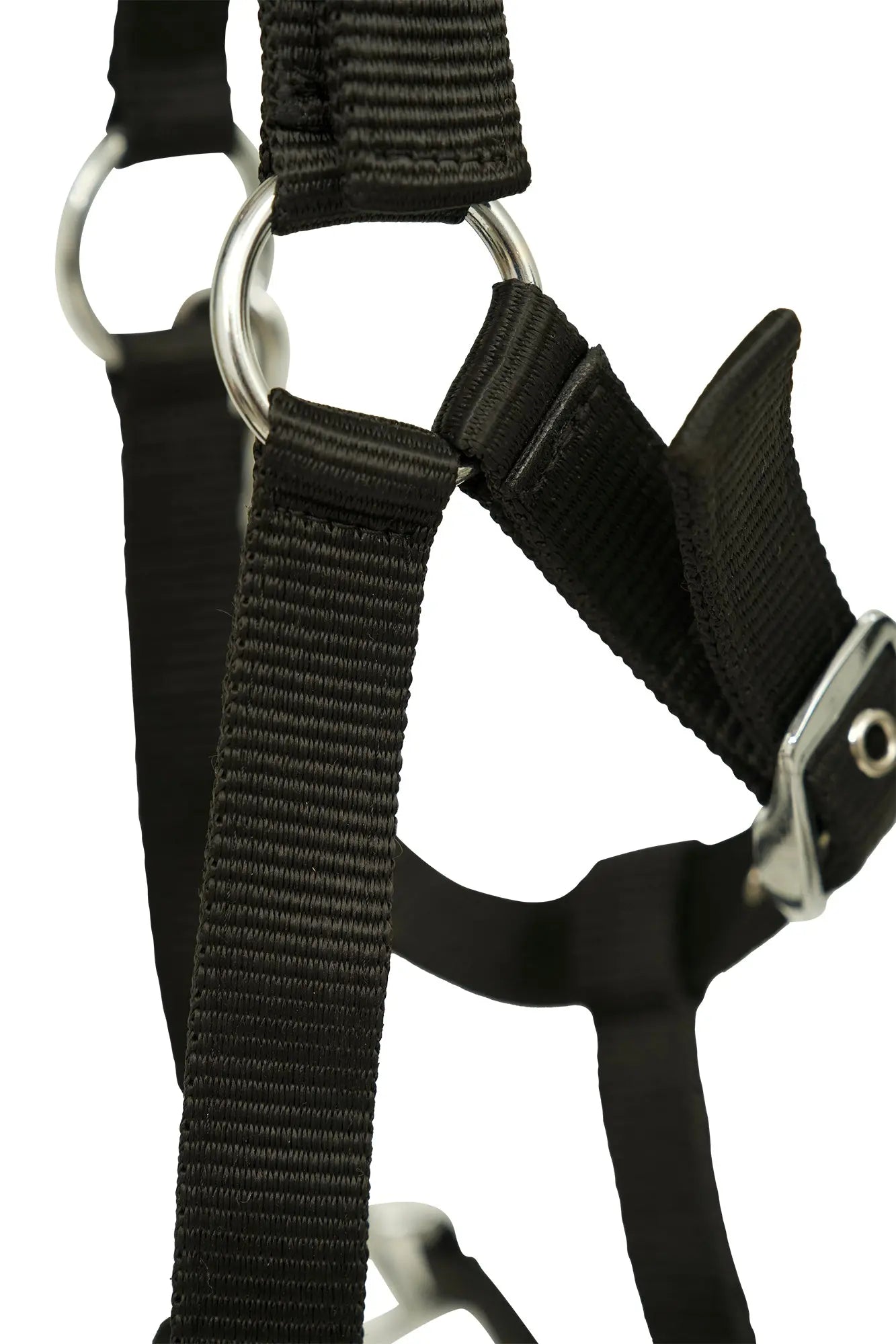 Huntley Nylon Padded Lunging Caveson, Black - Tampa Home & Garden Store