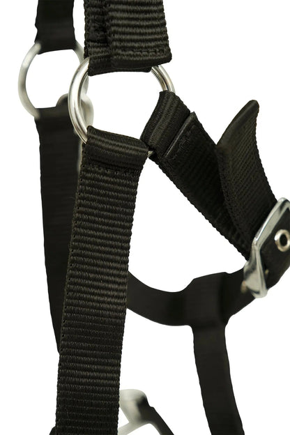 Huntley Nylon Padded Lunging Caveson, Black - Tampa Home & Garden Store