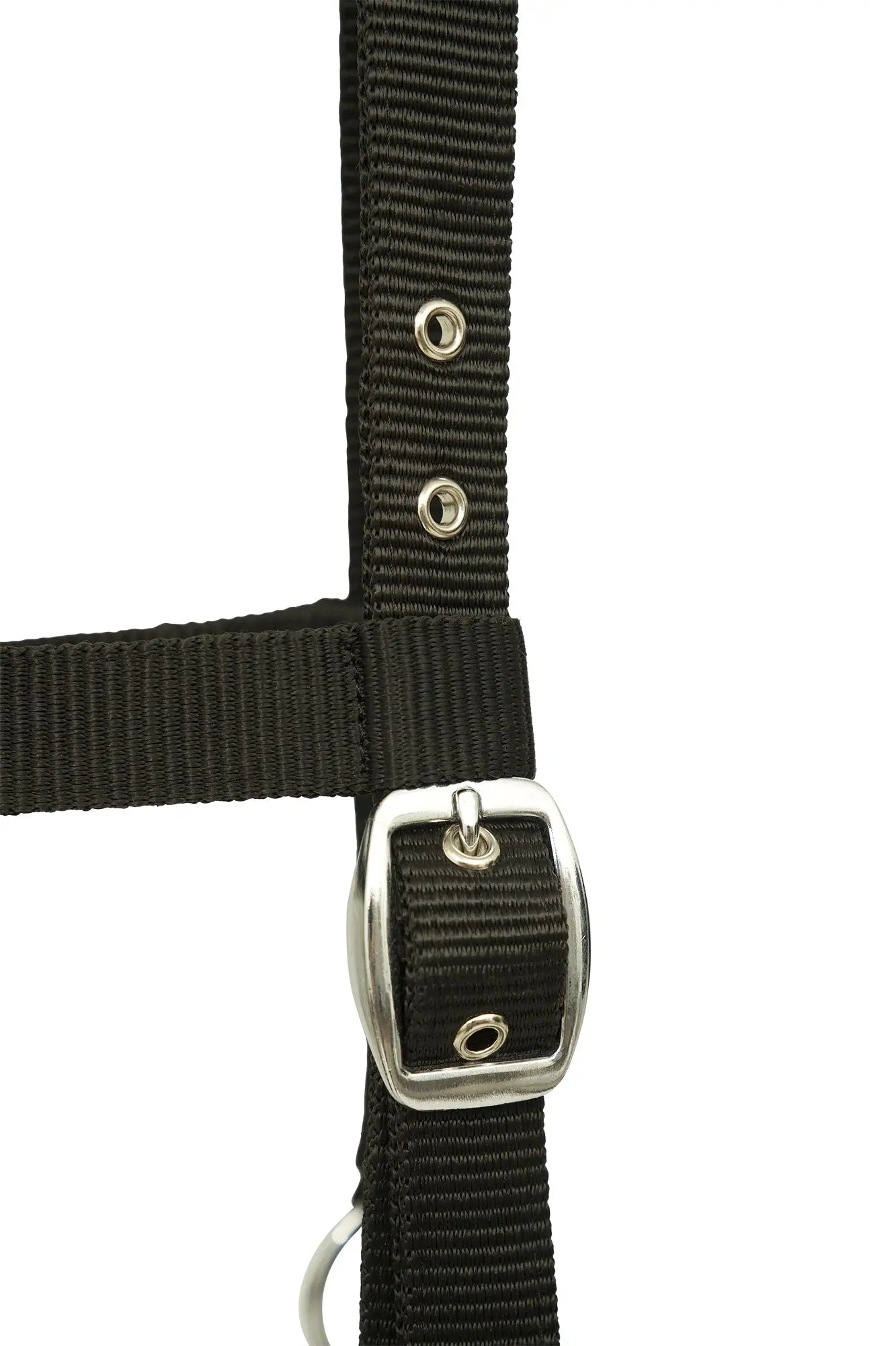 Huntley Nylon Padded Lunging Caveson, Black - Tampa Home & Garden Store