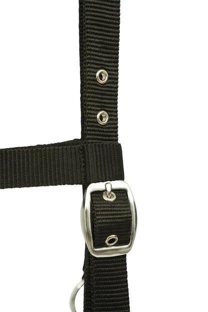 Huntley Nylon Padded Lunging Caveson, Black - Tampa Home & Garden Store