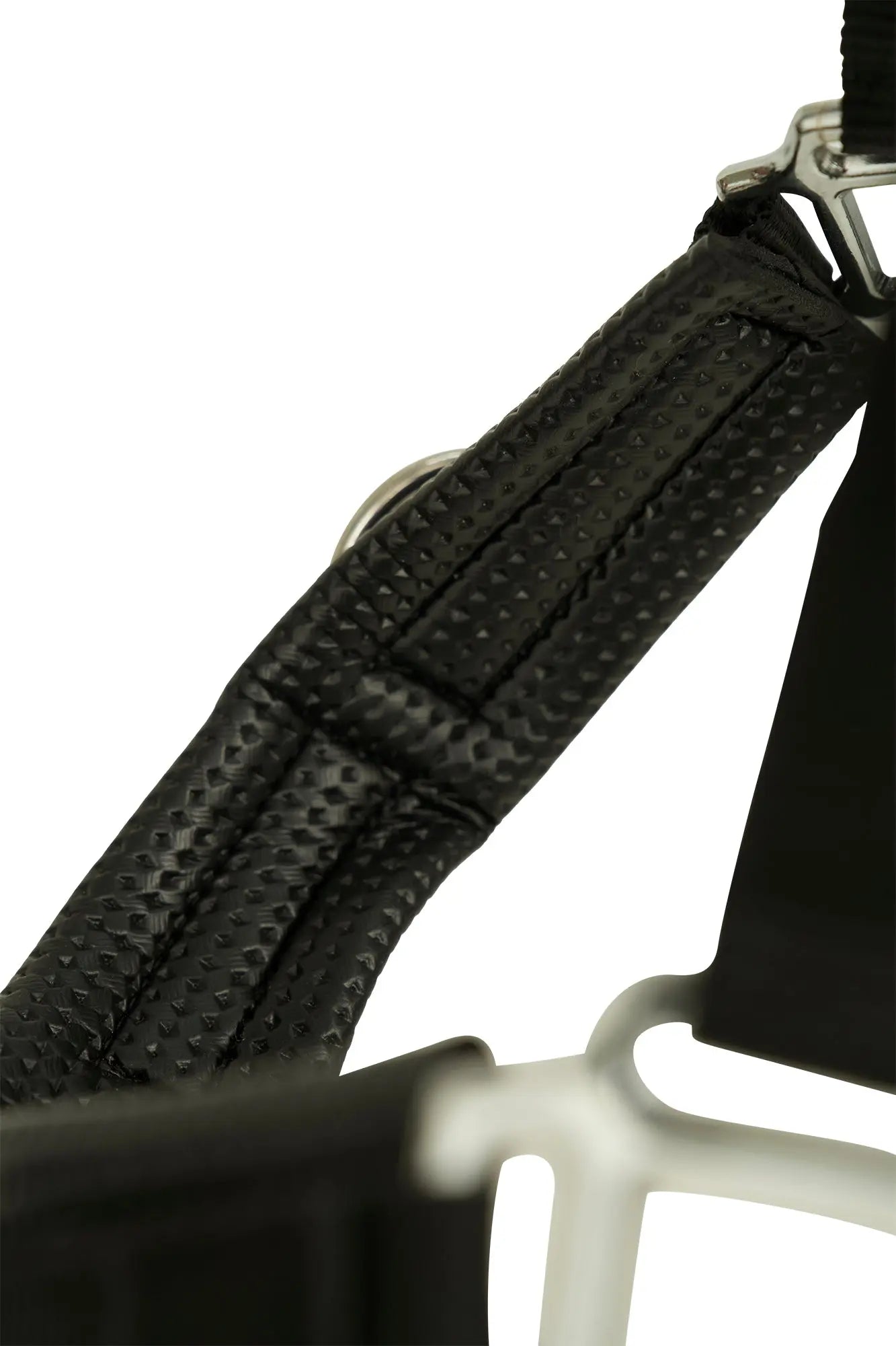 Huntley Nylon Padded Lunging Caveson, Black - Tampa Home & Garden Store