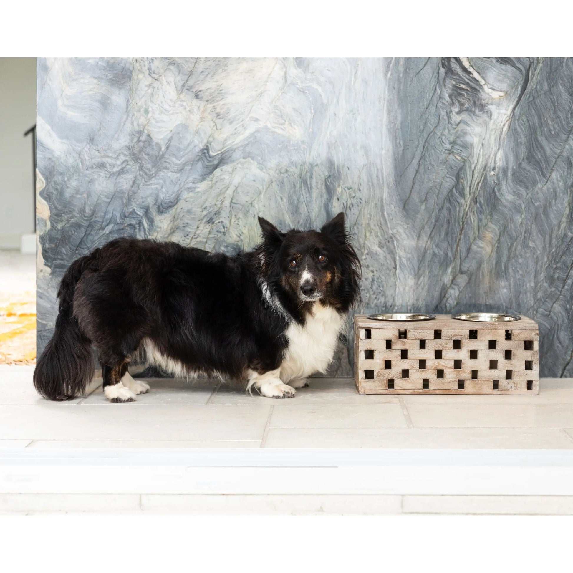 Huntley Pet Elevated Dog and Cat Double Bowl Feeder - Tampa Home & Garden Store