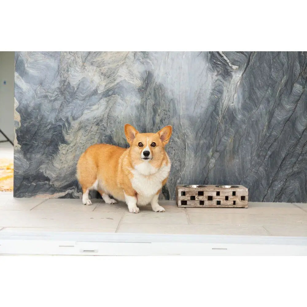 Huntley Pet Elevated Dog and Cat Double Bowl Feeder - Tampa Home & Garden Store